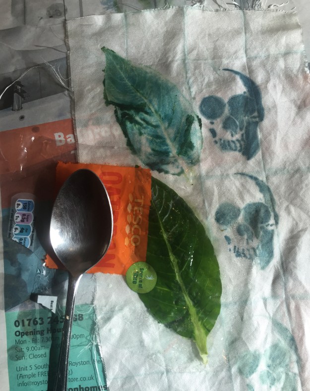 IndigoLeafPrintSilk1